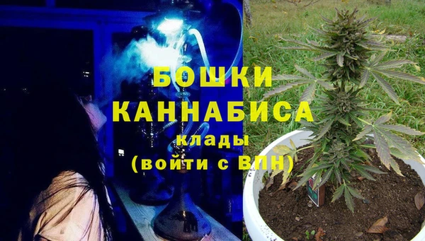 стаф Баксан